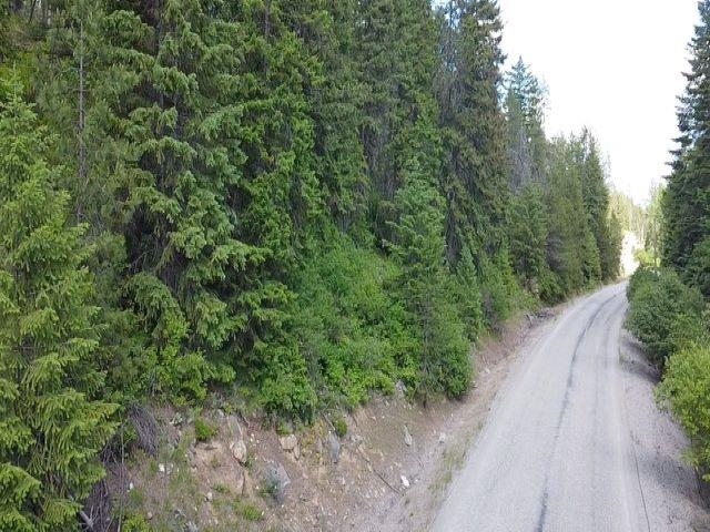 Tbd Spring Valley Road Elk, WA 99009 - Photo 19 of 22 Gallery Image 19