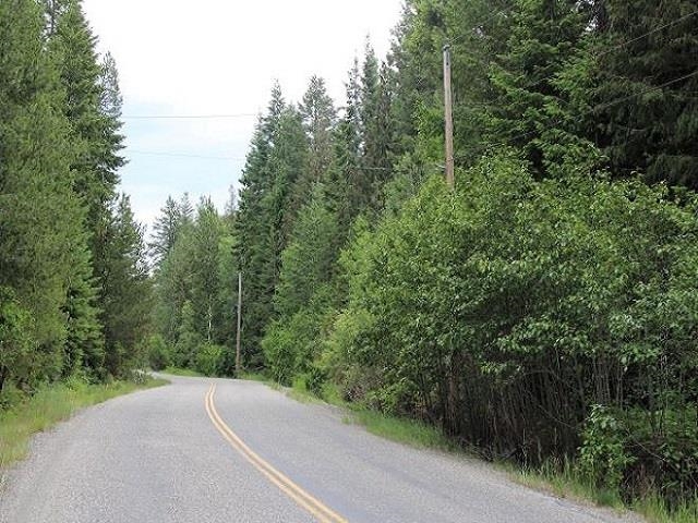 Tbd Spring Valley Road Elk, WA 99009 - Photo 20 of 22 Gallery Image 20