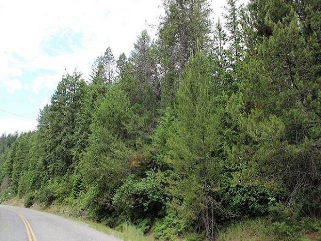 Tbd Spring Valley Road Elk, WA 99009 - Photo 21 of 22 Gallery Image 21