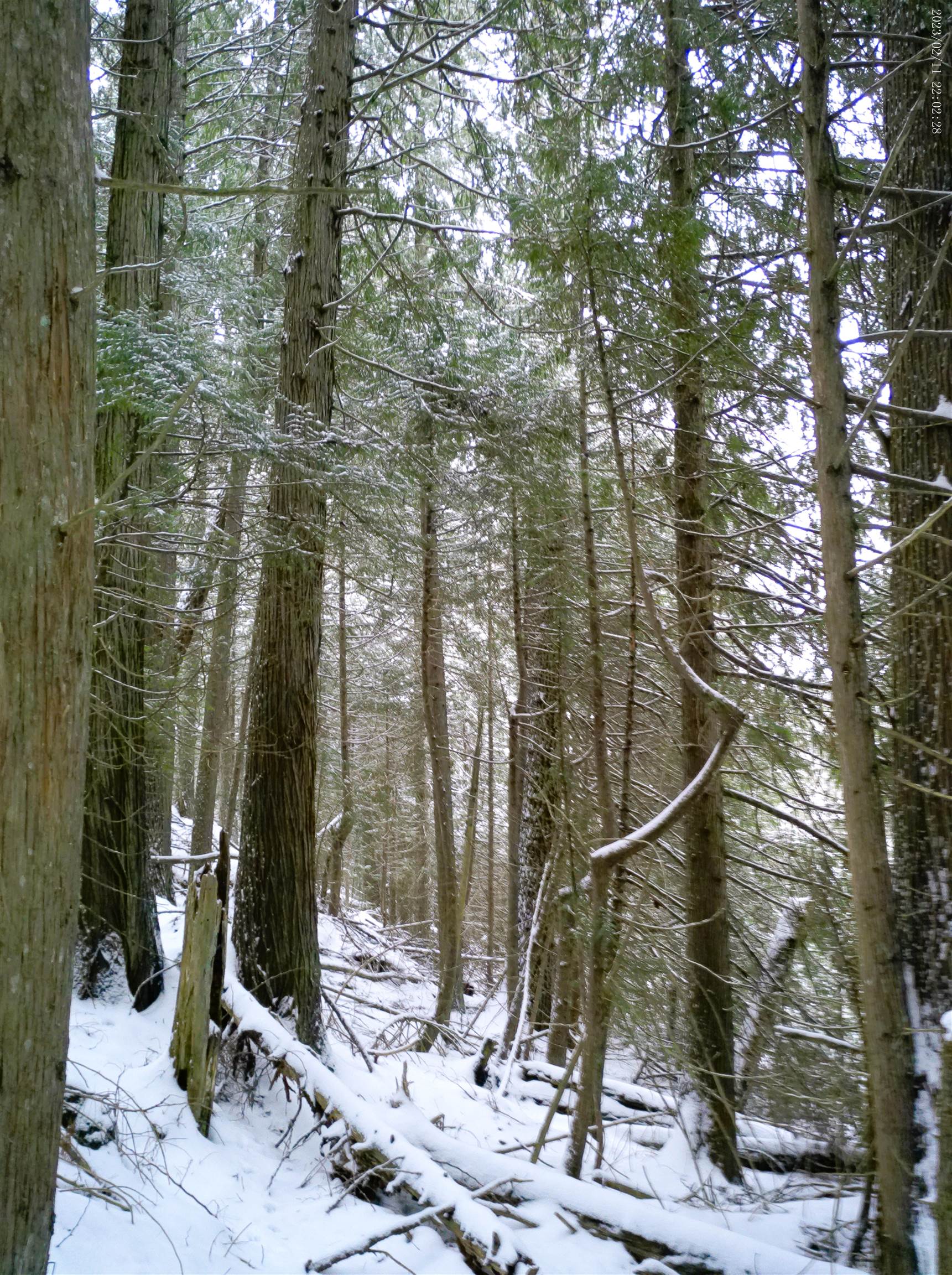 Gallery Image 6