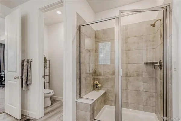 a bathroom with a shower and a toilet