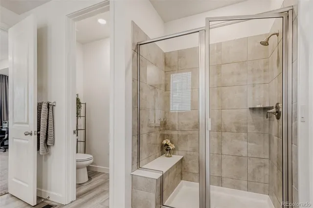 a bathroom with a shower and a toilet