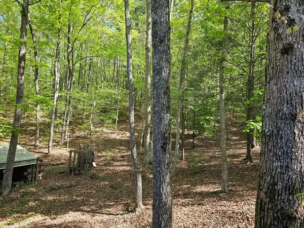 $344,500 | 421 Sleepy Hollow Drive, Murphy, NC 28906