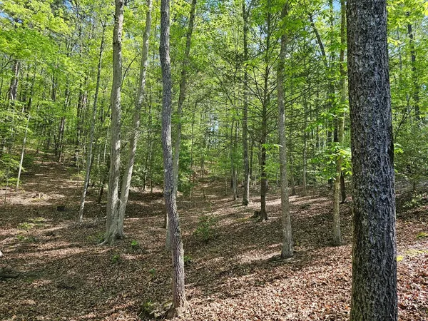 $344,500 | 421 Sleepy Hollow Drive, Murphy, NC 28906