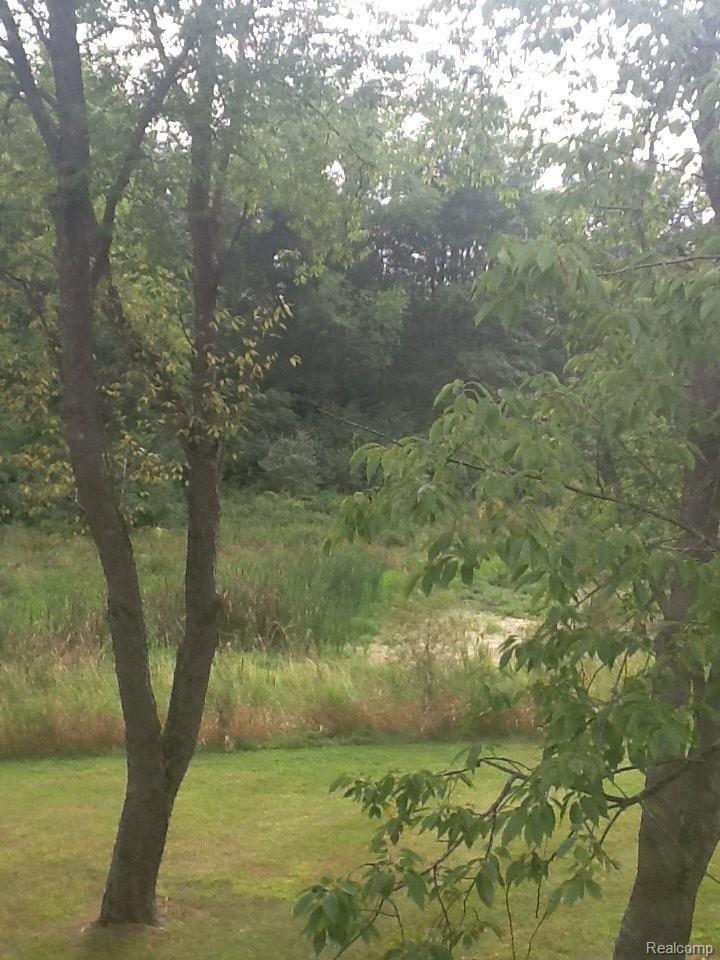 2298 East Coon Lake Road Howell, MI 48843 - Photo 38 of 42 CoonLkPrivacyAtBest.JPG