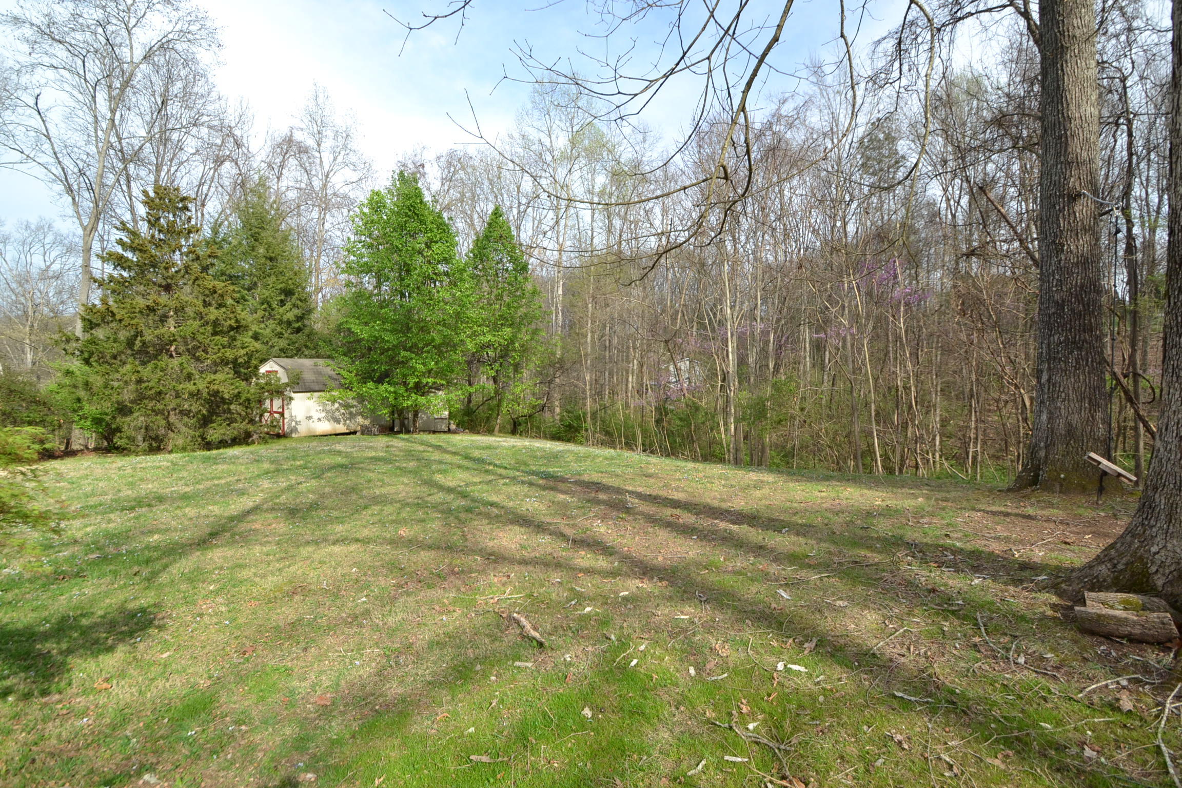 203 Timbercrest Drive Oak Ridge, TN 37830 - Photo 31 of 33 31