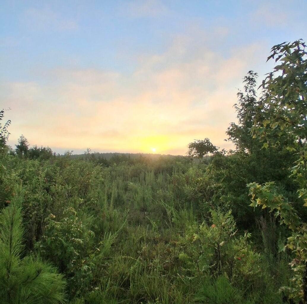 10 A Bowie Road Troy, SC 29848 - Photo 1 of 5 Pic 1