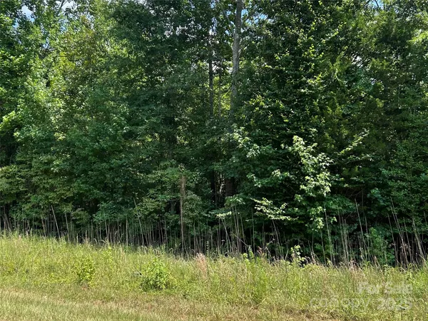 $35,000 | 0 Cabal Road, Sharon, SC 29742