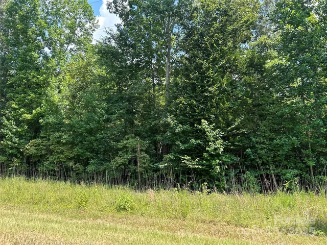 $35,000 | 0 Cabal Road, Sharon, SC 29742