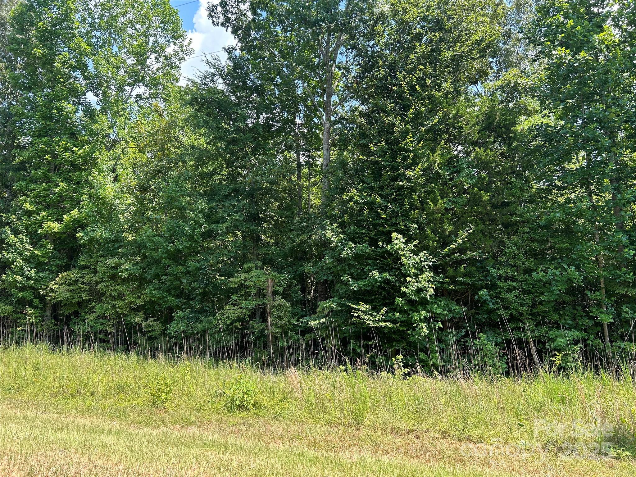 0 Cabal Road Sharon, SC 29742 - Photo 6 of 6