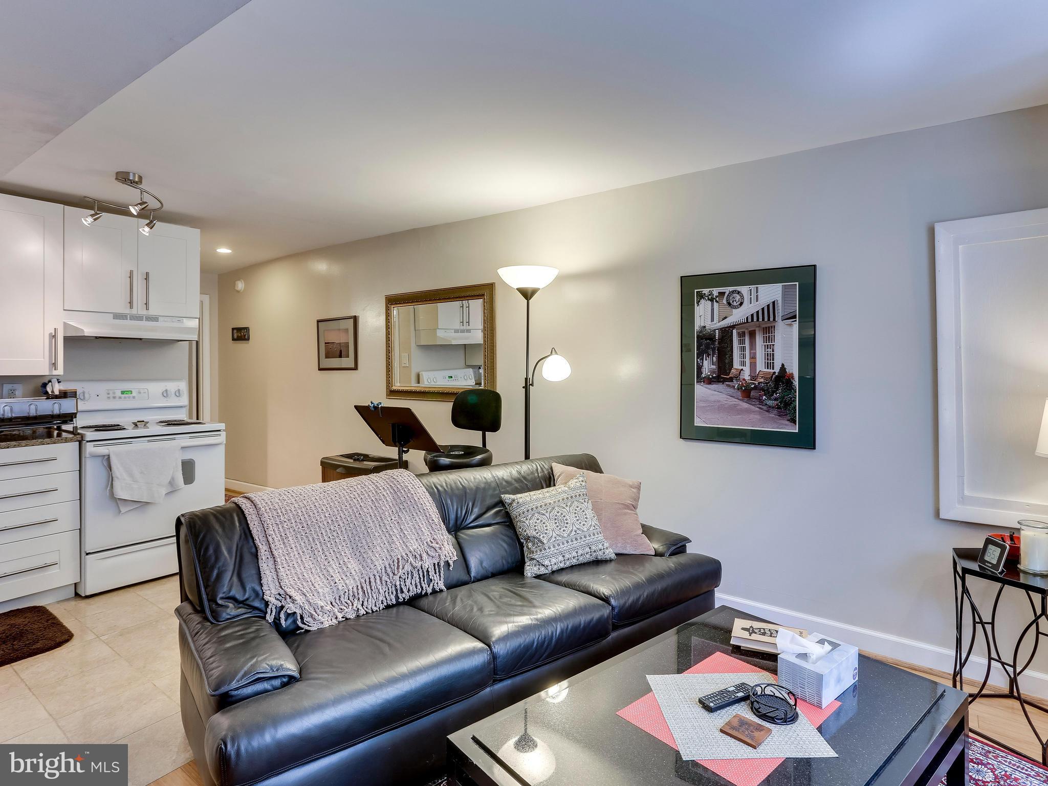 1309 Riggs Street Northwest Washington, DC 20009 - Photo 28 of 30 Basement