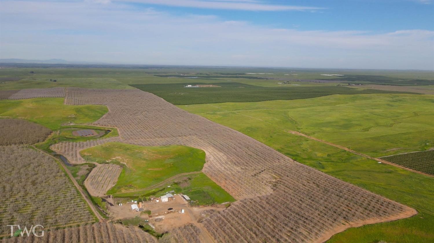 19441 Milton Road Farmington, CA 95230 - Photo 3 of 12