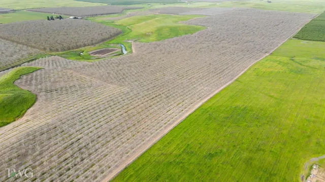 $4,120,000 | 19441 Milton Road, Farmington, CA 95230