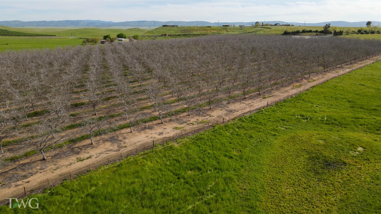 19441 Milton Road Farmington, CA 95230 - Photo 5 of 12