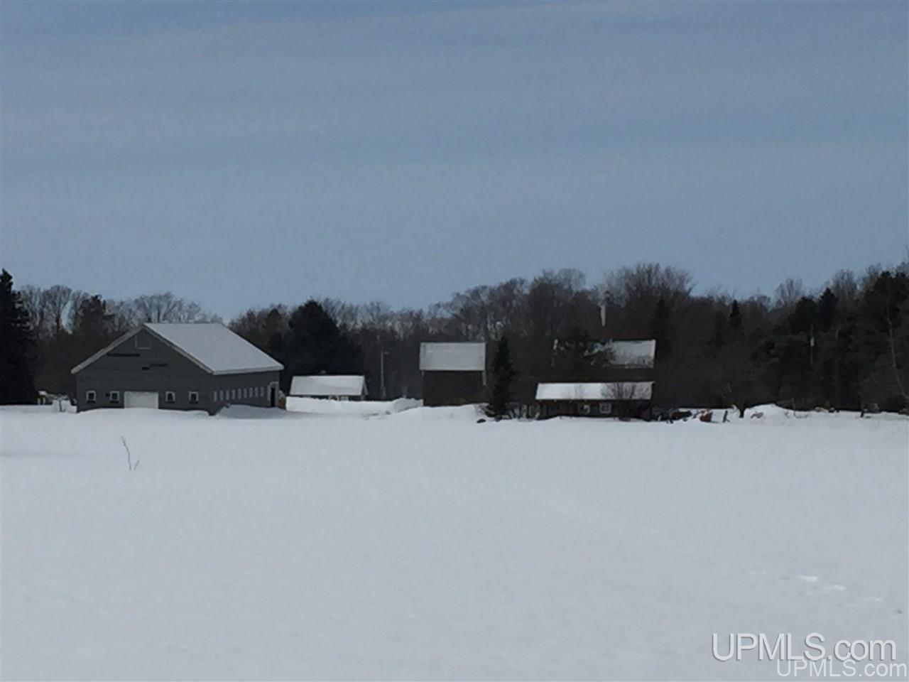 21054 McGunn Creek Road Calumet, MI 49913 - Photo 41 of 49