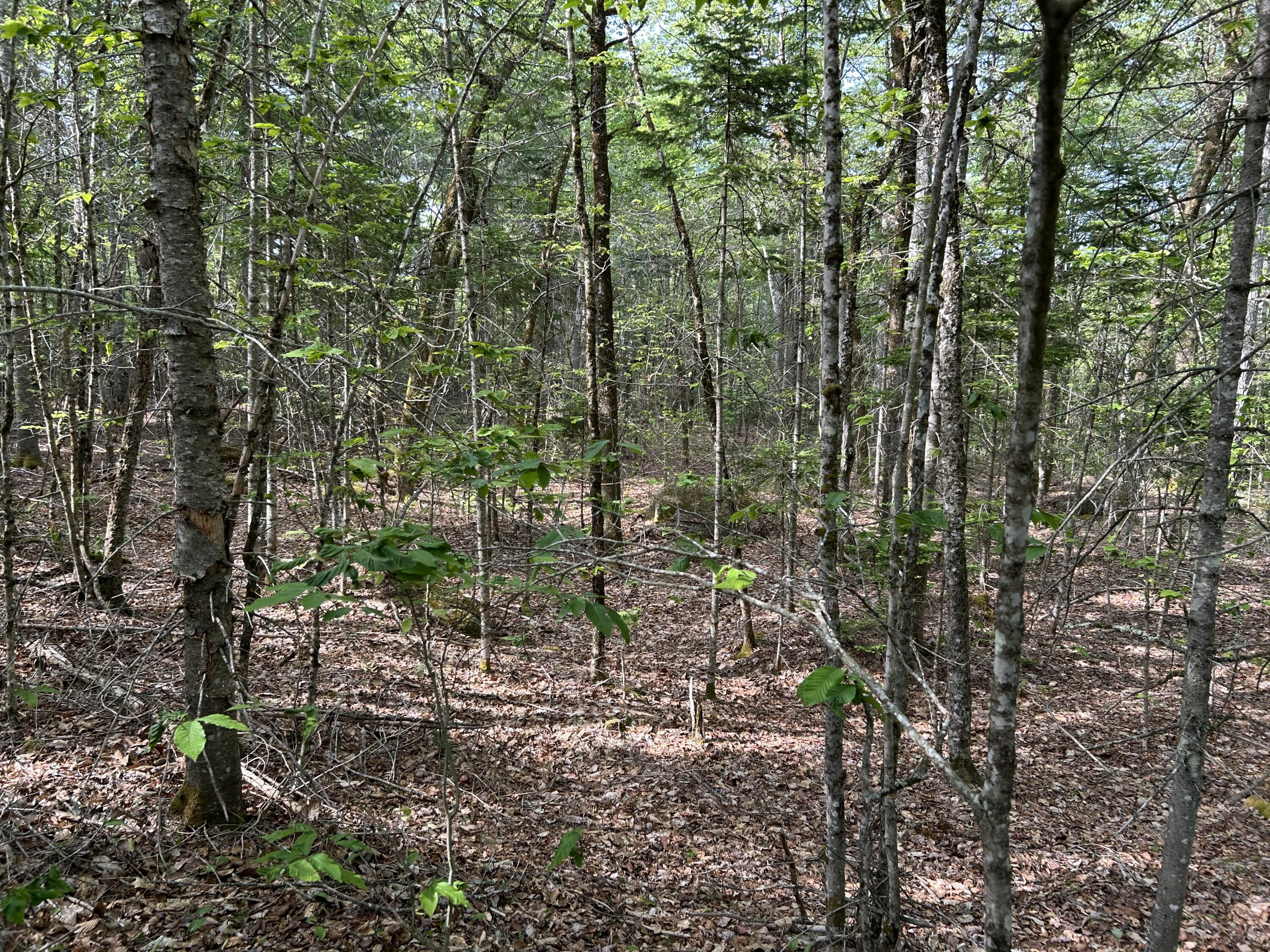 M5-l16 Clark Road Prospect, ME 04981 - Photo 40 of 45 IMG_8774