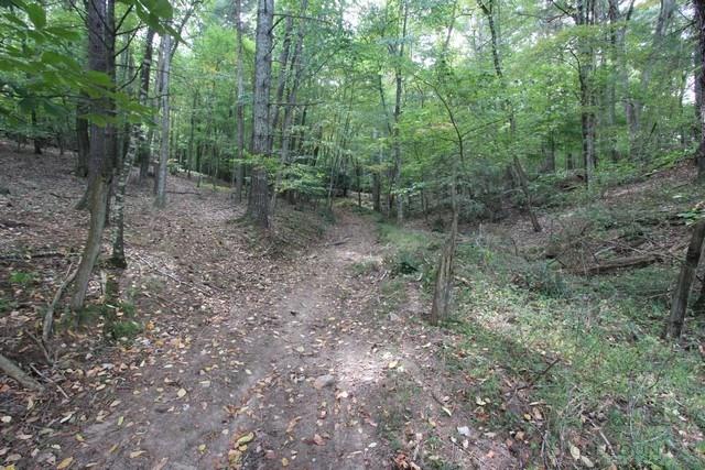 315 Dry Road Sugar Grove, VA 24375 - Photo 29 of 40 Gallery Image 29