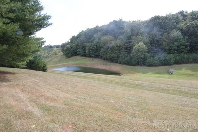 315 Dry Road Sugar Grove, VA 24375 - Photo 10 of 40 Gallery Image 10
