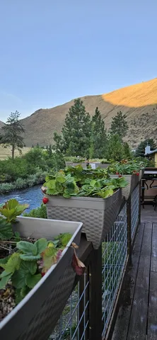 $1,200,000 | 1352 South Main Street, Riggins, ID 83549