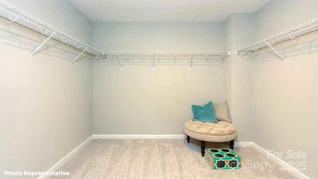 a bathroom with a shower and a toilet