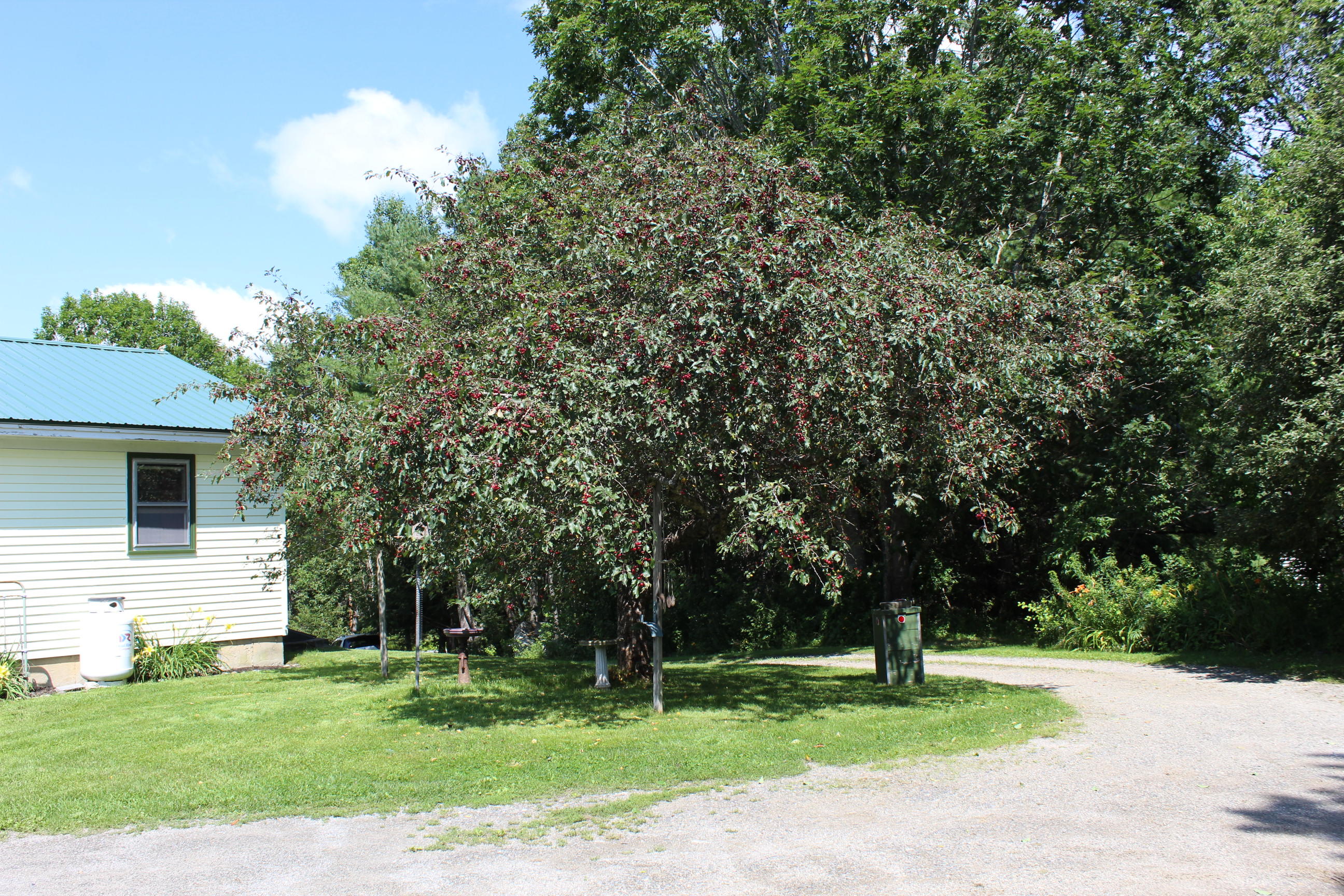 596 Castine Road Orland, ME 04472 - Photo 34 of 49 IMG_9297
