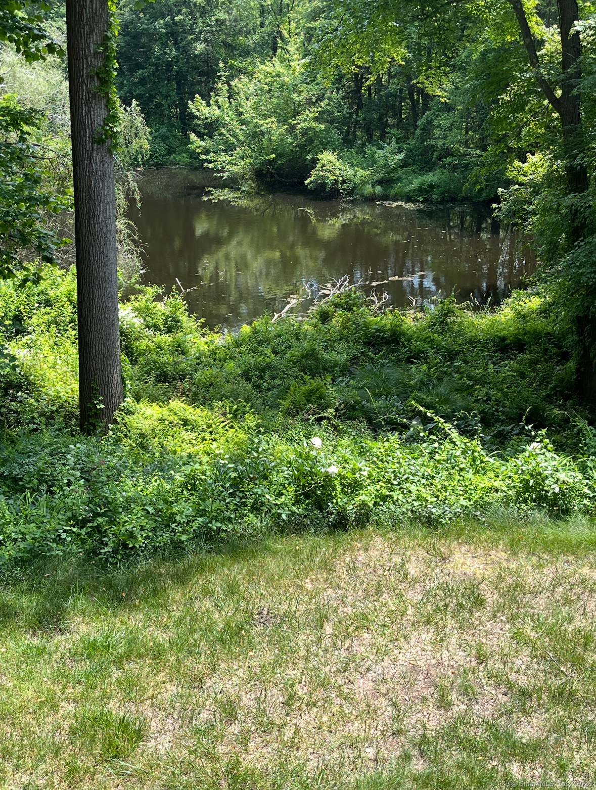 305 Rimmon Road Woodbridge, CT 06525 - Photo 27 of 28 a view of a lake view with a garden