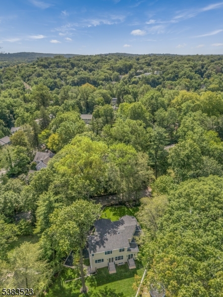 12 Coniston Road Short Hills, NJ 07078 - Photo 47 of 48