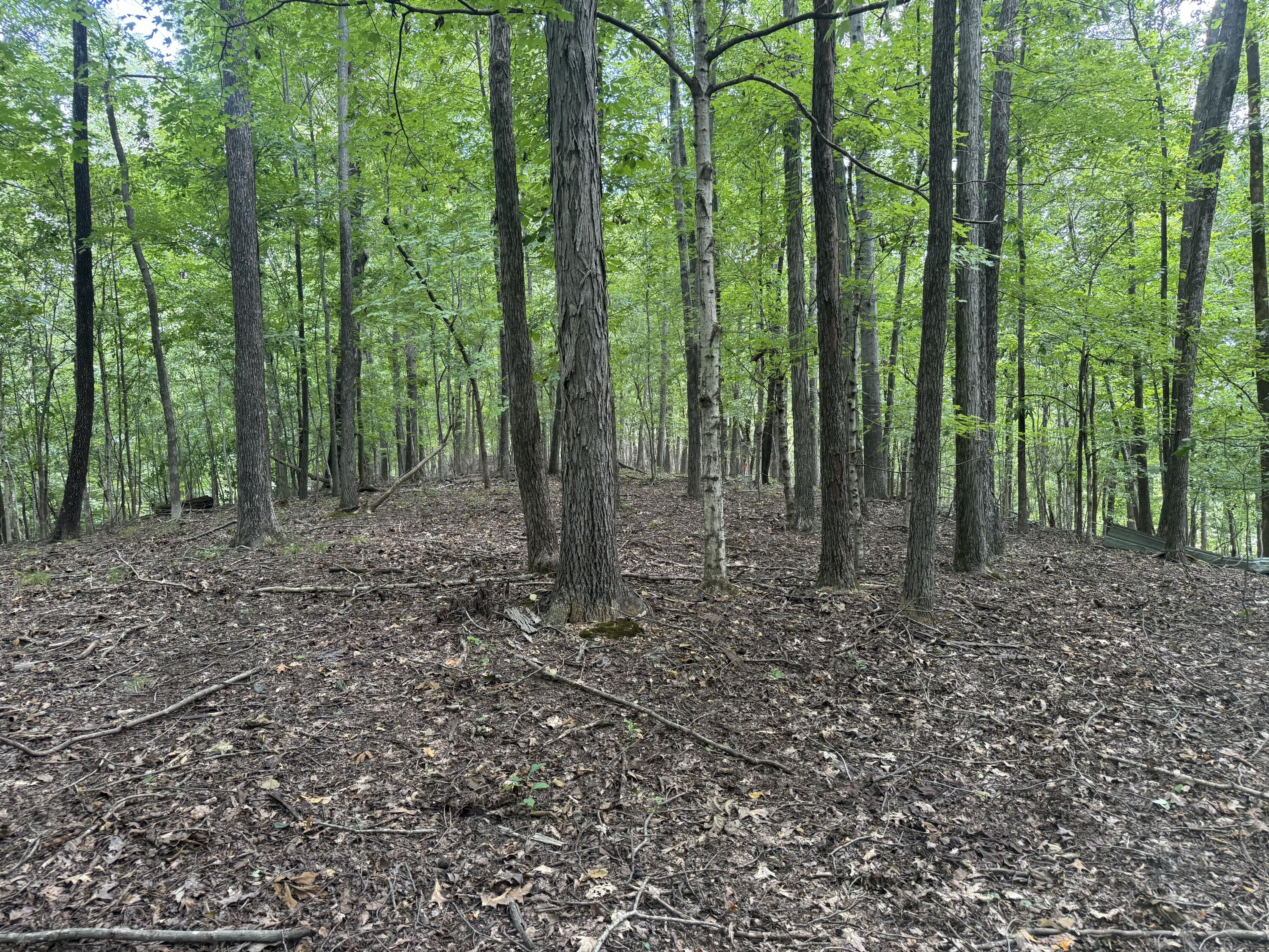 0 Perry Springs Road Eddyville, KY 42038 - Photo 23 of 41 19