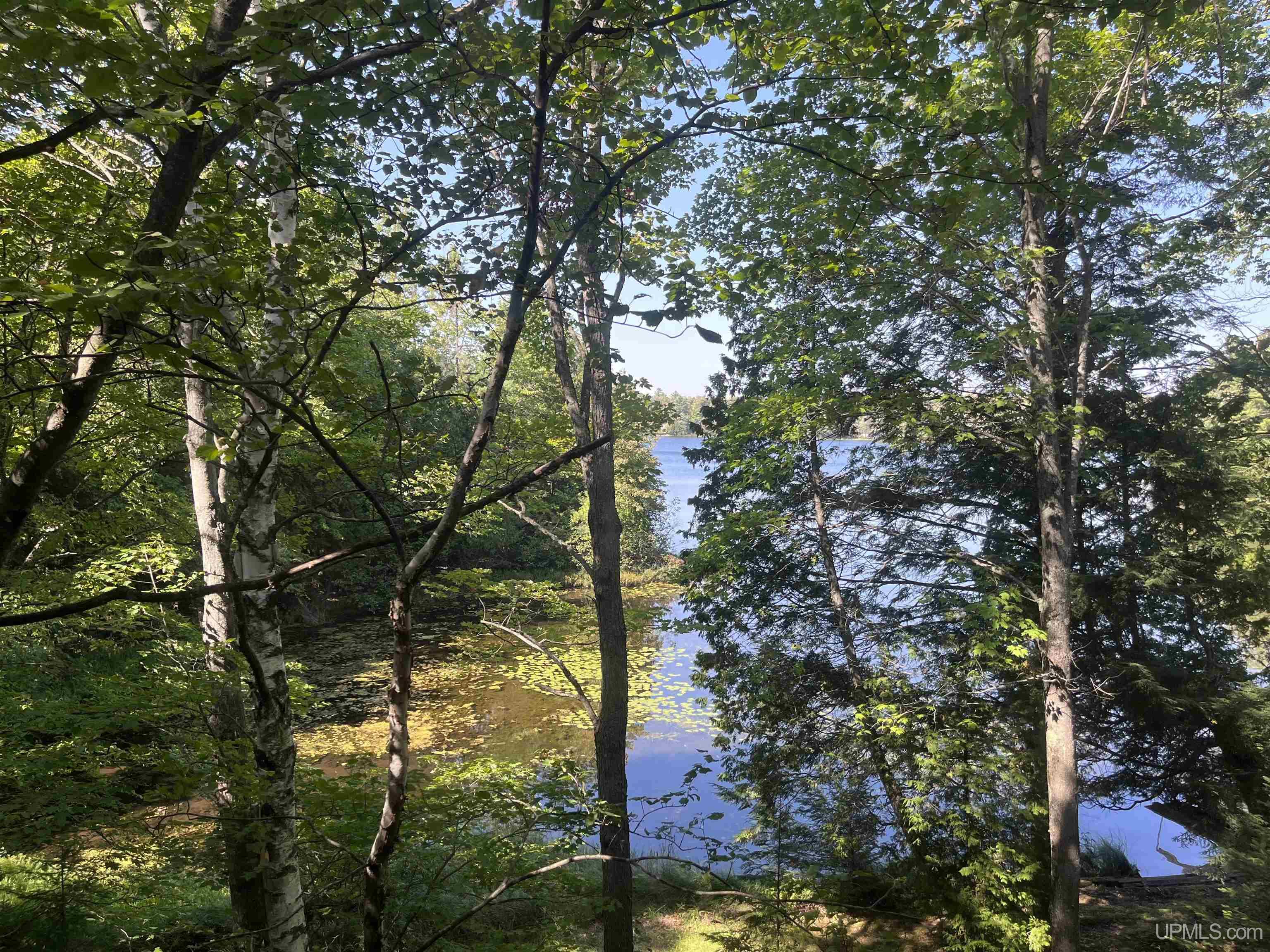 1605 Engman Lake Road Skandia, MI 49885 - Photo 73 of 90