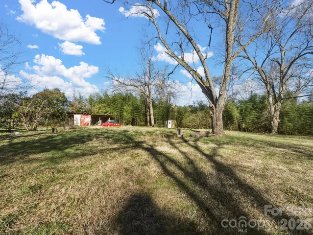 a view of yard with tree