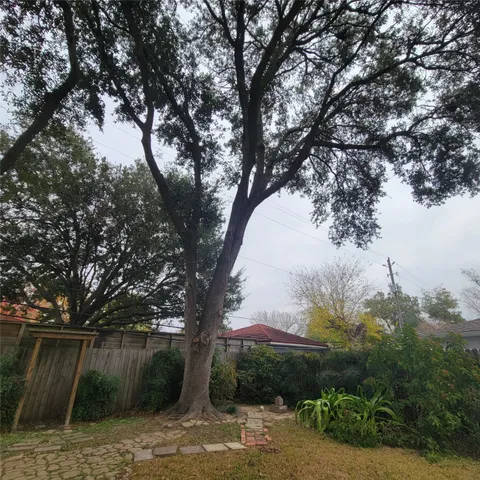 a view of a house with a yard and large tree