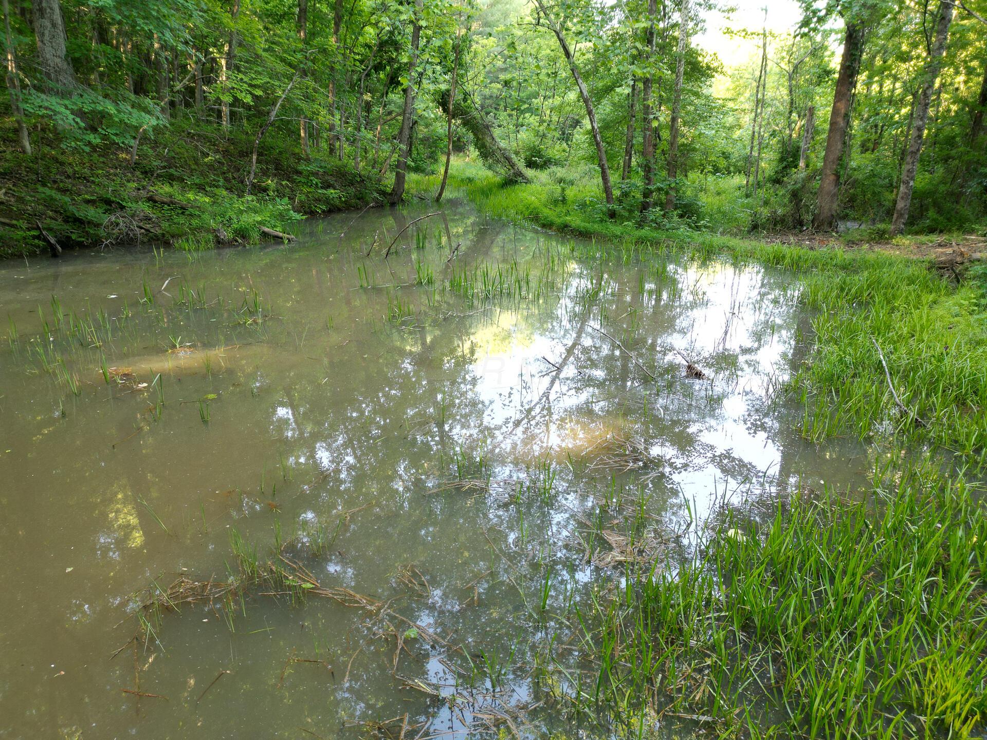 0 Sand Ridge Road, Unit ALBANY HIDEAWAY TRACT 2) Albany, OH 45710 - Photo 11 of 16