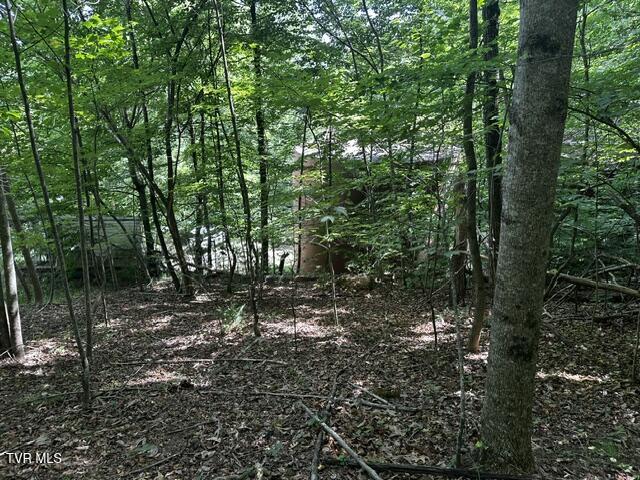 230 Ridge Road Weber City, VA 24290 - Photo 16 of 46 IMG_0605