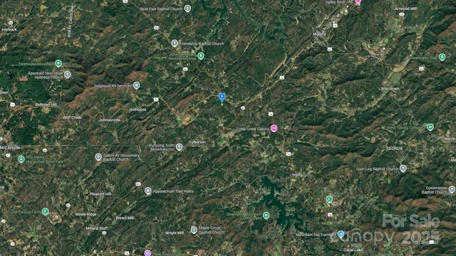 a view of a lush green forest