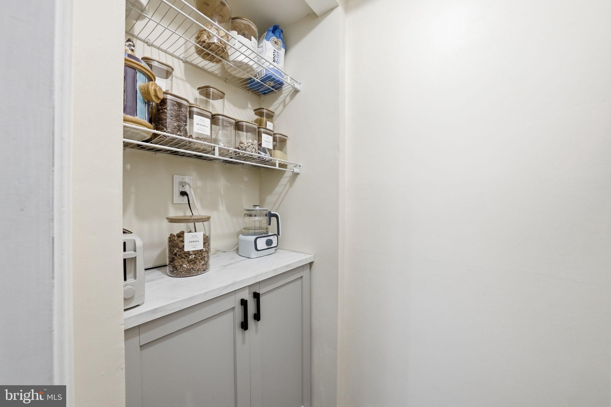 19828 Apple Ridge Place Montgomery Village, MD 20886 - Photo 12 of 31 Pantry