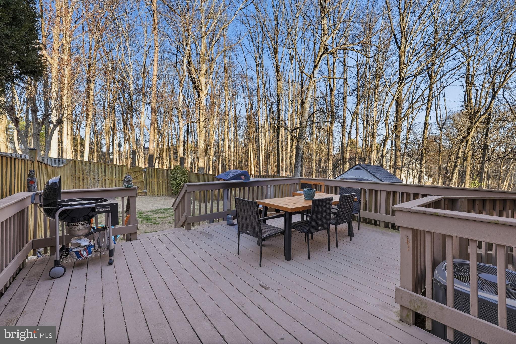 19828 Apple Ridge Place Montgomery Village, MD 20886 - Photo 24 of 31 Large deck!