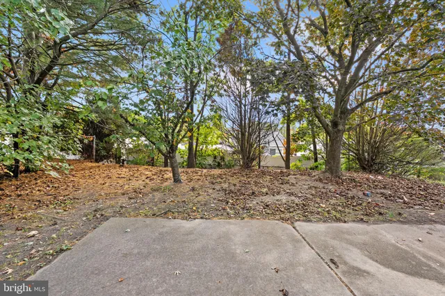 a view of outdoor space and yard