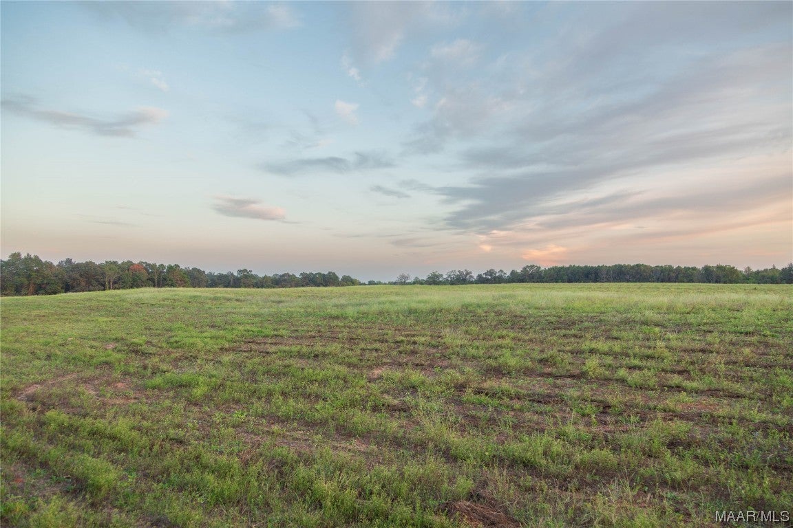 337 County Road 337 Brantley, AL 36009 - Photo 18 of 36 Gallery Image 18