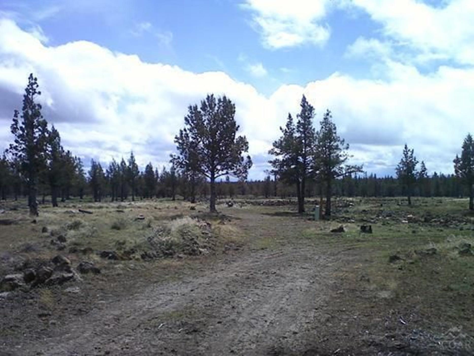 12853 Southwest Graham Road Culver, OR 97734 - Photo 4 of 10 12969Graham003