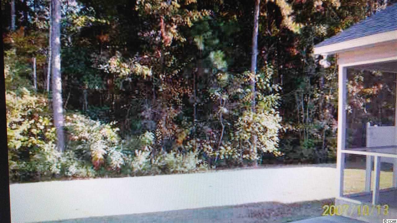 9732 Conifer Lane Murrells Inlet, SC 29576 - Photo 22 of 23 Gallery Image 22