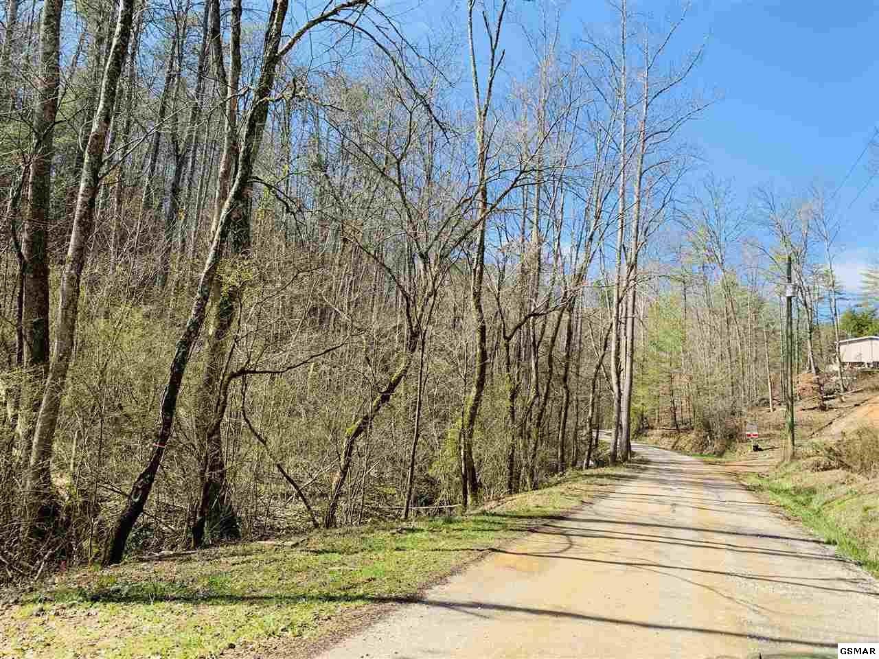 9 Sulpher Springs Road Sevierville, TN 37862 - Photo 2 of 12 Gallery Image 2