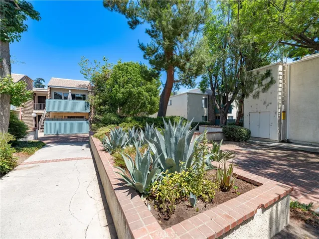 a view of a backyard with plants