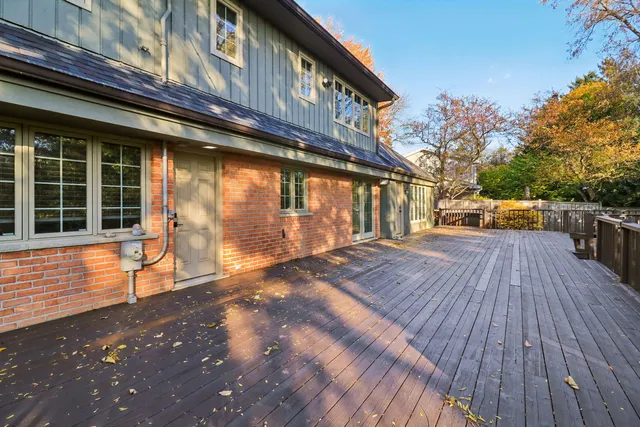 a view of a tree in a yard