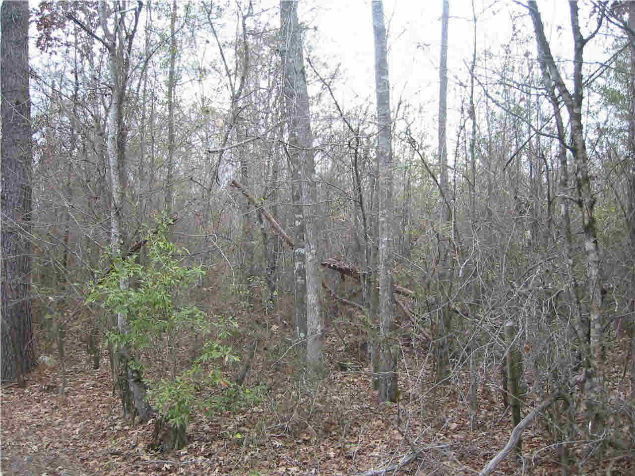 191 Rankin-Ferguson Road Pelahatchie, MS 39145 - Photo 1 of 12 Photo 1