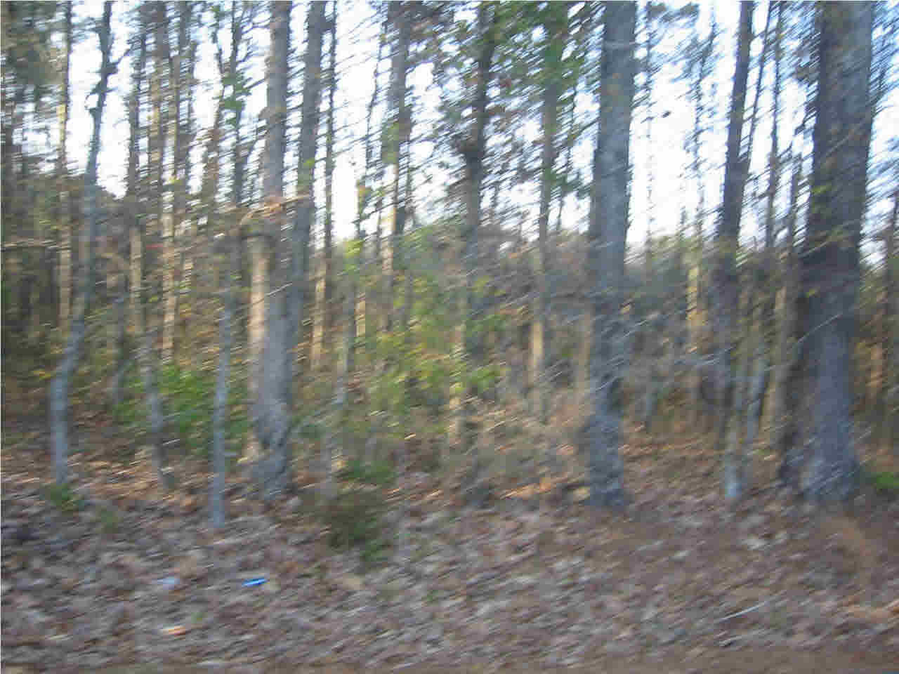 191 Rankin-Ferguson Road Pelahatchie, MS 39145 - Photo 4 of 12 Photo 4