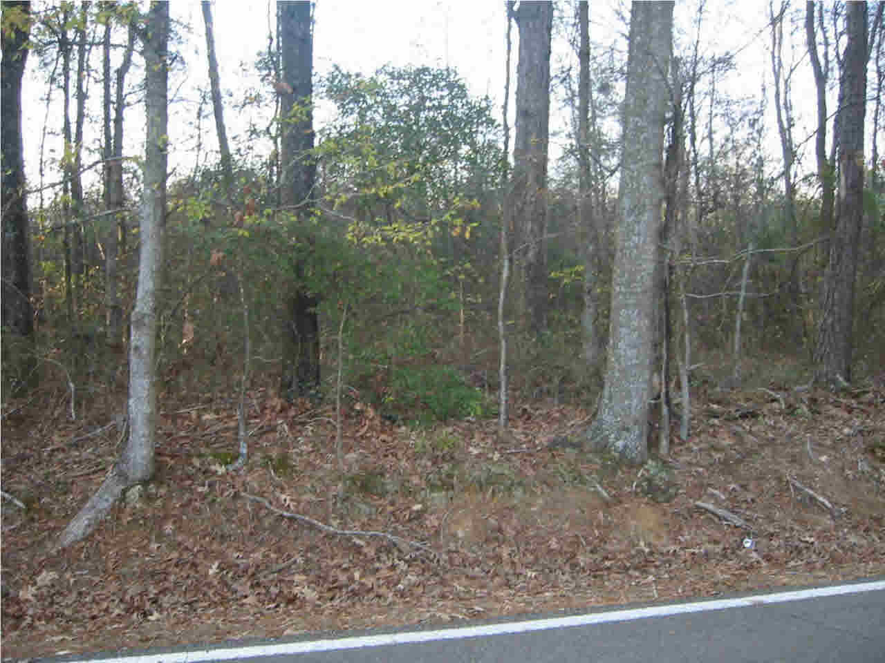 191 Rankin-Ferguson Road Pelahatchie, MS 39145 - Photo 5 of 12 Photo 5