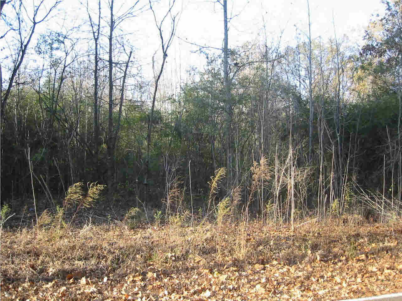 191 Rankin-Ferguson Road Pelahatchie, MS 39145 - Photo 7 of 12 Photo 7