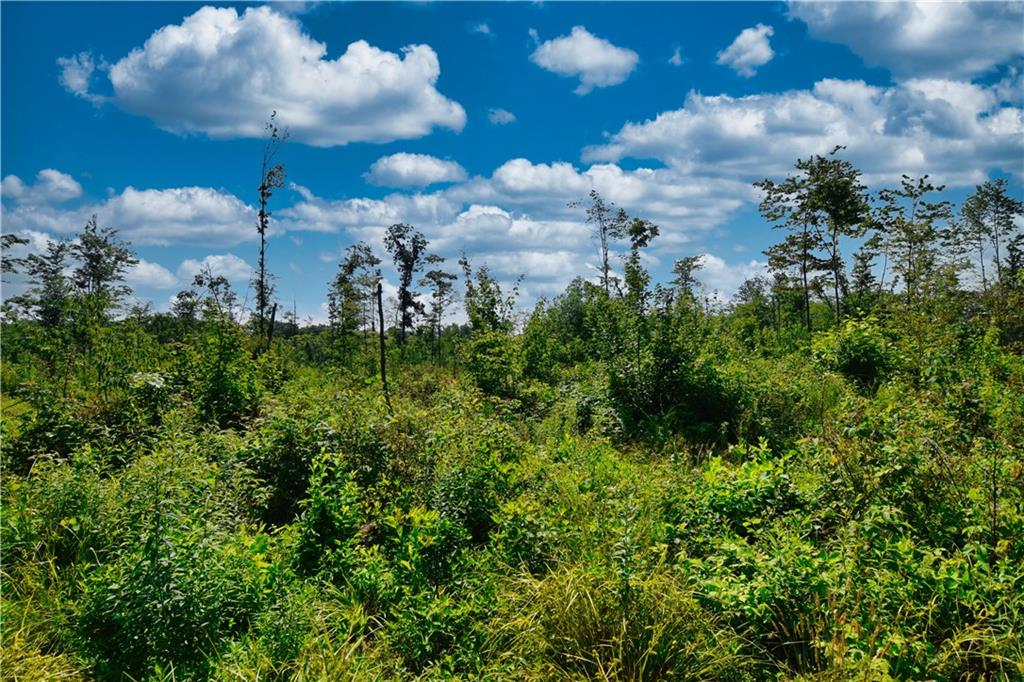 0 South Norrisville Road Meadville, PA 16406 - Photo 6 of 10