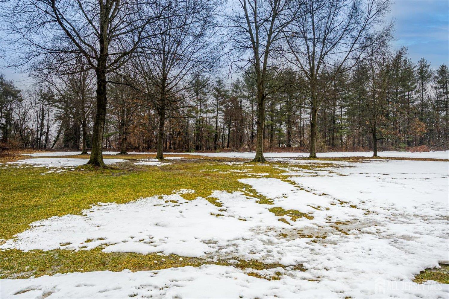 199 Applegate Lane East Brunswick, NJ 08816 - Photo 32 of 38 a view of pool with a yard and trees around