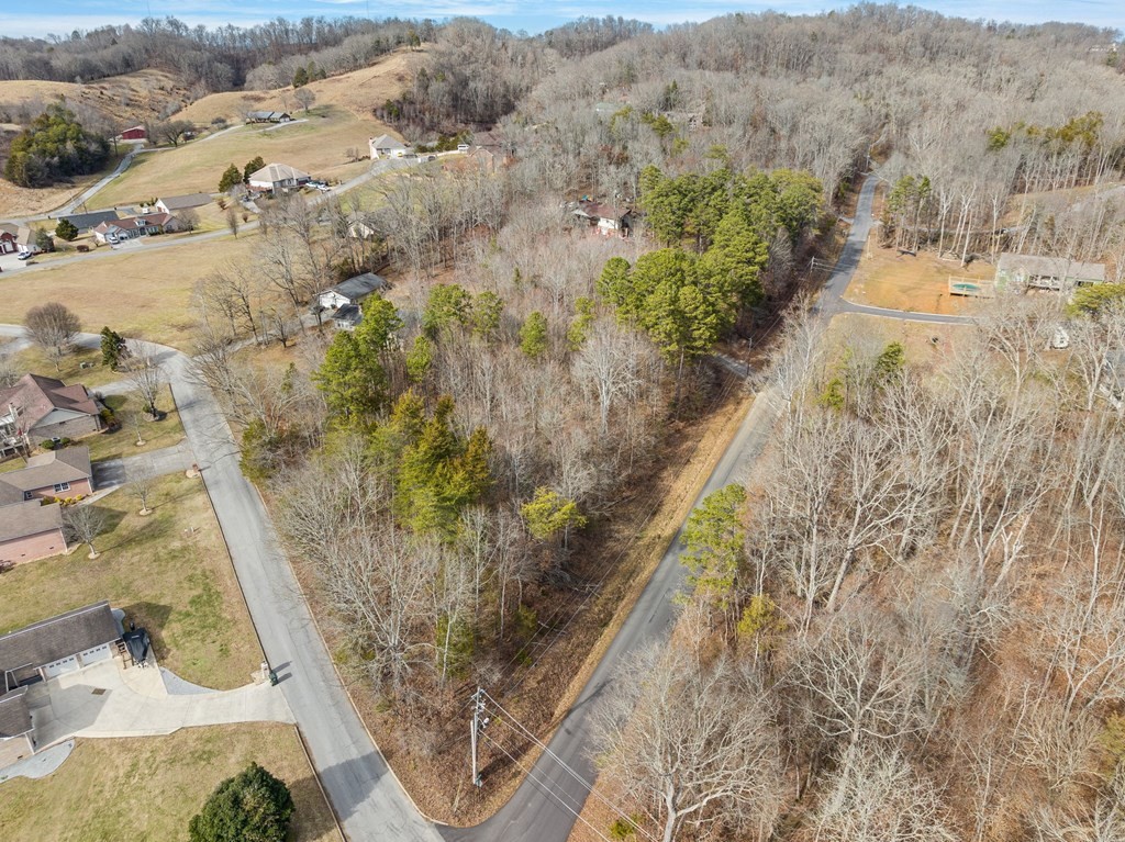 9 Catlett Road Sevierville, TN 37862 - Photo 7 of 12 Gallery Image 7